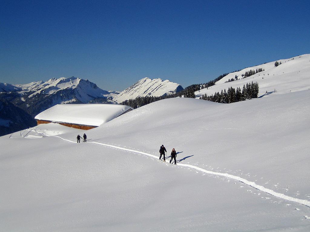 Caroline'S Appartement Au (Vorarlberg) Екстериор снимка
